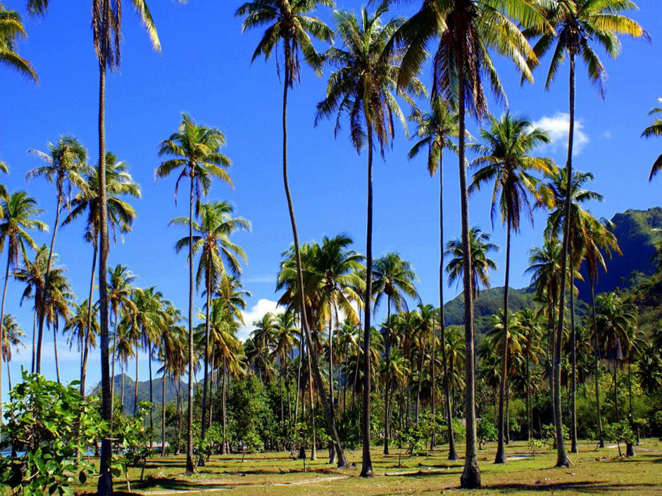 Polynésie Française, Tahiti